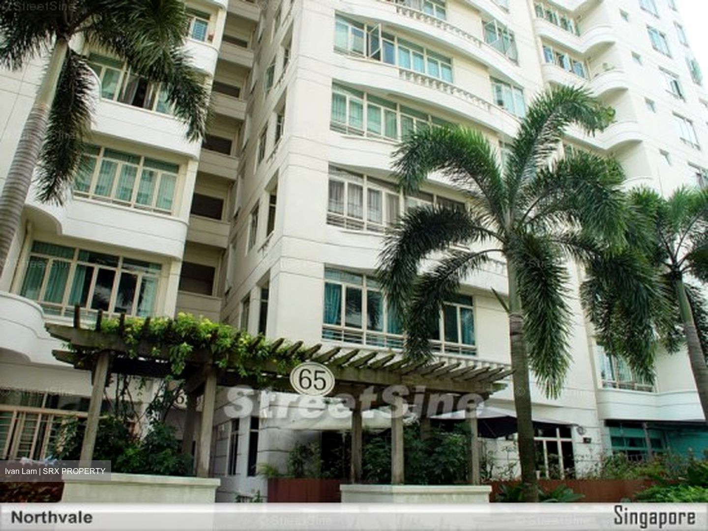 Northvale (D23), Apartment #558827881
